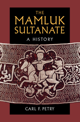 The Mamluk Sultanate: A History - Petry, Carl F