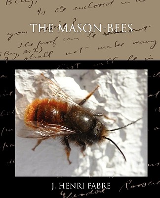 The Mason-bees - Fabre, J Henri