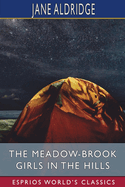 The Meadow-Brook Girls in the Hills (Esprios Classics): or, The Missing Pilot of the White Mountains