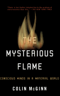 The Mysterious Flame: Conscious Minds in a Material World