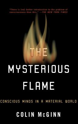 The Mysterious Flame: Conscious Minds in a Material World - McGinn, Colin