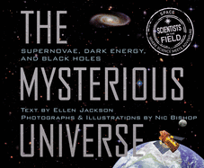 The Mysterious Universe: Supernovae, Dark Energy, and Black Holes