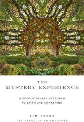 The Mystery Experience - Freke, Tim