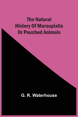 The Natural History Of Marsupialia Or Pouched Animals - Waterhouse, G R