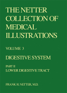 The Netter Collection of Medical Illustrations - Digestive System: Part II - Lower Digestive Tract