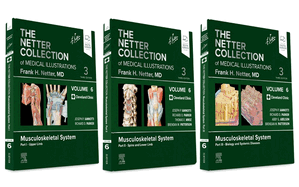 The Netter Collection of Medical Illustrations: Musculoskeletal System Package: Volume 6