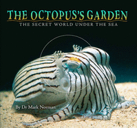 The Octopus's Garden: The Secret World Under the Sea