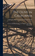 The Olive in California: Varieties, Budding, Grafting, New Methods, and General Observations