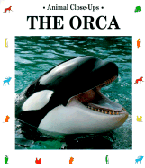 The Orca: Admiral of the Sea