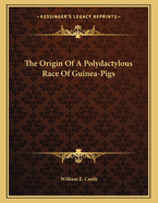 The Origin of a Polydactylous Race of Guinea-Pigs