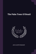 The Palm Trees Of Brazil