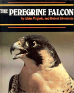 The Peregrine Falcon - Silverstein, Alvin, Dr., and A V and R Silverstein, and Silverstein, Virginia, Dr.