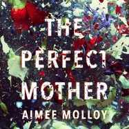 The Perfect Mother: A gripping thriller with a nail-biting twist