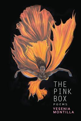 The Pink Box - Montilla, Yesenia, and Horton, Randall (Editor)