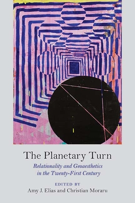 The Planetary Turn: Relationality and Geoaesthetics in the Twenty-First Century - Elias, Amy J, Professor (Editor), and Moraru, Christian (Editor)