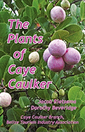 The Plants of Caye Caulker