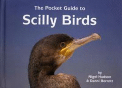 The Pocket Guide to Scilly Birds