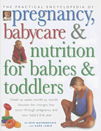 The Practical Encyclopedia of Pregnancy, Babycare & Nutrition for Babies & Toddlers - Mackonochie, Alison, and Lewis, Sara