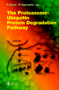 The Proteasome Ubiquitin Protein Degradation Pathway