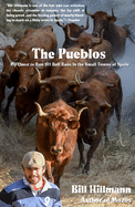 The Pueblos: My Quest to Run 101 Bull Runs in the Small Towns of Spain