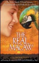 The Real Macaw