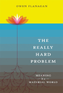 The Really Hard Problem: Meaning in a Material World - Flanagan, Owen