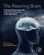 The Rewiring Brain: A Computational Approach to Structural Plasticity in the Adult Brain
