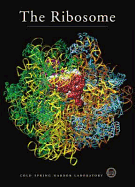 The Ribosome: Cold Spring Harbor Symposia on Quantitative Biology, Volume LXVI