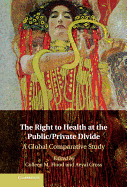 The Right to Health at the Public/Private Divide