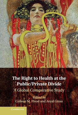 The Right to Health at the Public/Private Divide - Flood, Colleen M (Editor), and Gross, Aeyal (Editor)