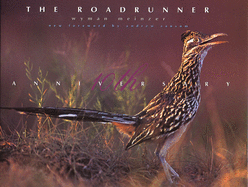 The Roadrunner: The Tenth Anniversary Edition