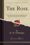 The Rose: A Treatise on the Cultivation, History, Family Characteristics, Etc;, of the Various Groups of Roses, with Accurate Descriptions of the Varieties Now Generally Grown (Classic Reprint)