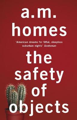 The Safety Of Objects - Homes, A.M.