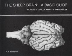 The Sheep Brain