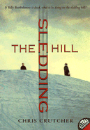 The Sledding Hill
