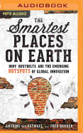 The Smartest Places on Earth: Why Rustbelts Are the Emerging Hotspots of Global Innovation