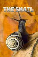 The Snail: The life and tribulations of a snail.