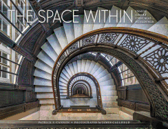 The Space within Inside Great Chicago Buildings