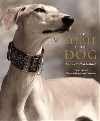 The Spirit of the Dog: An Illustrated History - Pickeral, Tamsin, and Harrisson, Astrid (Photographer), and Stilwell, Victoria (Foreword by)