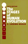 The Stages of Human Evolution