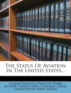 The Status of Aviation in the United States