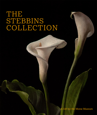 The Stebbins Collection: A Gift for the Morse Museum - Palm, Regina, and Anderson, Virginia (Contributions by)