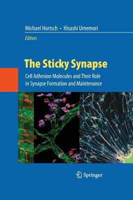 The Sticky Synapse: Cell Adhesion Molecules and Their Role in Synapse Formation and Maintenance - Hortsch, Michael (Editor), and Umemori, Hisashi (Editor)
