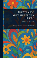 The Strange Adventures of a Pebble