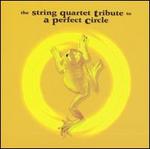 The String Quartet Tribute to A Perfect Circle