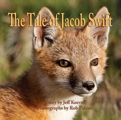 The Tale of Jacob Swift - Kurrus, Jeff, and Frink, Teresa (Foreword by)