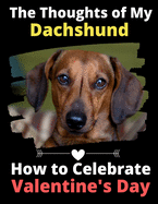 The Thoughts of My Dachshund: How to Celebrate Valentine's Day