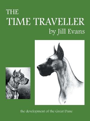 The Time Traveller - Evans, Jill