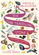 The Time Travelling Stone: Seven stories, one hillside, 6000 years