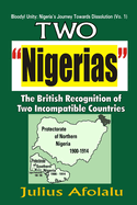 The Two "Nigerias": Why Dissolution May be the Final Solution